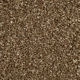 Reed Beige 34 Temptation Carpet