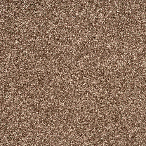 Roasted Coffee Sensation Twist Carpet by Cormar