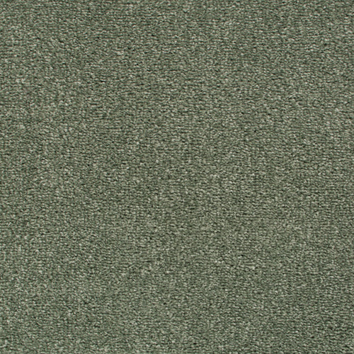 Sage 42 Revolution Soft Heathers Intenza Carpet