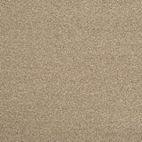 Sandy Beige 91 Emotion Classic Intenza Carpet