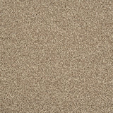 Sandy Beige 91 Emotion Classic Intenza Carpet