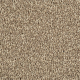 Sandy Beige 91 Emotion Classic Intenza Carpet