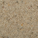 Seed Natural Berber Twist Deluxe 55oz Carpet by Cormar