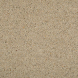 Seed Natural Berber Twist Deluxe 55oz Carpet by Cormar