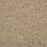 Seed Natural Berber Twist Deluxe 55oz Carpet by Cormar