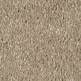 Siberian Mink Sensation Original 60oz Carpet by Cormar