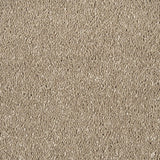 Siberian Mink Sensation Original 60oz Carpet by Cormar