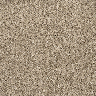 Siberian Mink Sensation Original 60oz Carpet by Cormar