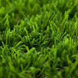 Sequoia 40mm Artificial Grass