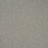 Shale Grey Illinois Loop Carpet