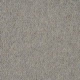 Shale Grey Illinois Loop Carpet