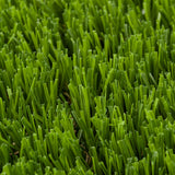 Shelbourne 37mm Artificial Grass