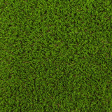 Shelbourne 37mm Artificial Grass