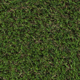 Shenwich 30mm Artificial Grass