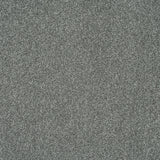 Silver Grey 275 Emotion Elite Intenza Carpet