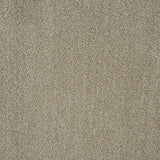 Stone Beige 72 Emotion Elite Intenza Carpet