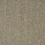 Stone Beige 72 Emotion Elite Intenza Carpet