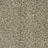 Stone Beige 72 Emotion Elite Intenza Carpet