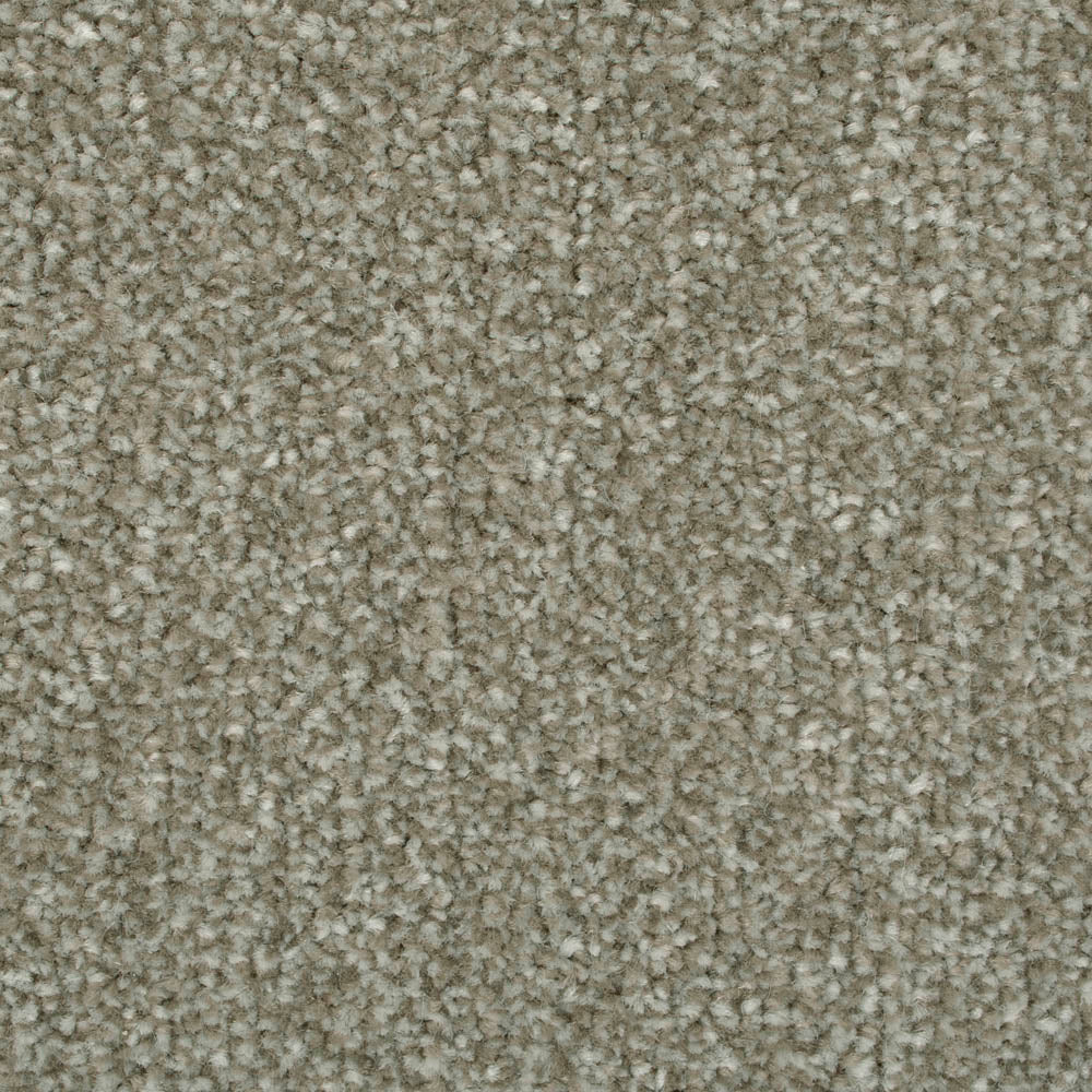 Stone Grey 175 Palace Twist Carpet | Buy Palace Twist Carpets Online ...