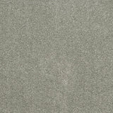 Stone Grey 175 Oxford Saxony Carpet