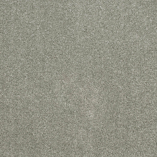 Stone Grey 175 Oxford Saxony Carpet