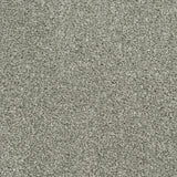 Stone Grey 175 Oxford Saxony Carpet