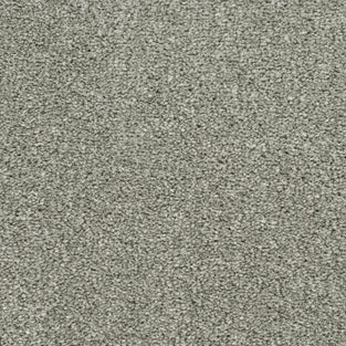 Stone Grey 175 Oxford Saxony Carpet