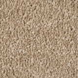 Suede 34 Bellaire Carpet