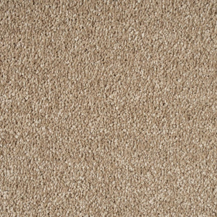 Suede 34 Bellaire Carpet