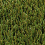 Tuscany 37mm Artificial Grass