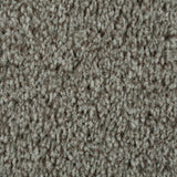 Walnut 964 Dublin Heathers Carpet