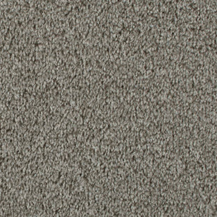 Walnut 964 Dublin Heathers Carpet