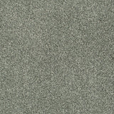 Warm Grey 74 Oxford Saxony Carpet