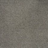 Warm Grey 77 Emotion Elite Intenza Carpet