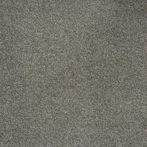 Warm Grey 77 Emotion Elite Intenza Carpet