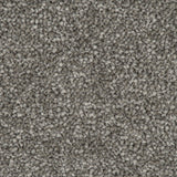 Warm Grey 77 Emotion Elite Intenza Carpet