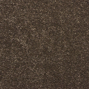 Earth Brown 90 Affluent Carpet