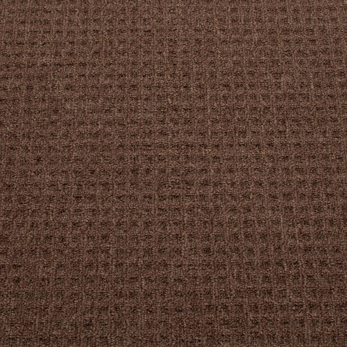 Coconut Neptune Carpet