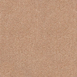 Stainaway Ultra Carpet