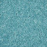 Aqua Blue 81 Carousel Twist Carpet