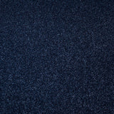 Marine Stainfree Arena Carpet