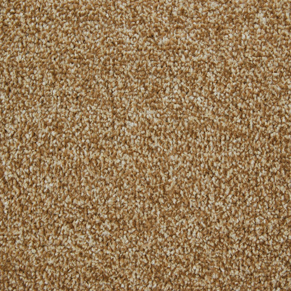 Harvest Stainfree Arena Carpet