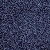 Marine Stainfree Arena Carpet