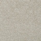 Ash Grey 70 Hudson Carpet