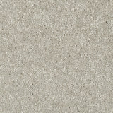 Ash Grey 70 Hudson Carpet