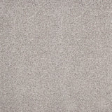 Stainaway Ultra Carpet