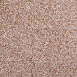 Stainaway Harvest Heathers Deluxe Carpet