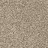 Barbados 35 Dorado 56oz Invictus Gaia Carpet