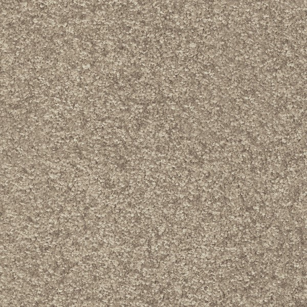 Barbados 35 Dorado 56oz Invictus Gaia Carpet