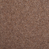 New Forest 38oz Wilton Carpet